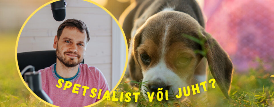 Spetsialist vs juht: kuidas käituda vastavalt oma rollile