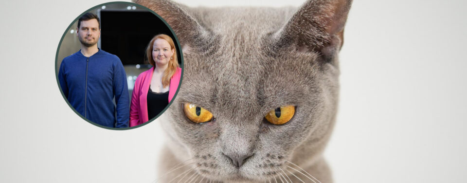 Pahalane meeskonnas: kuidas käituda keeruliste töötajatega